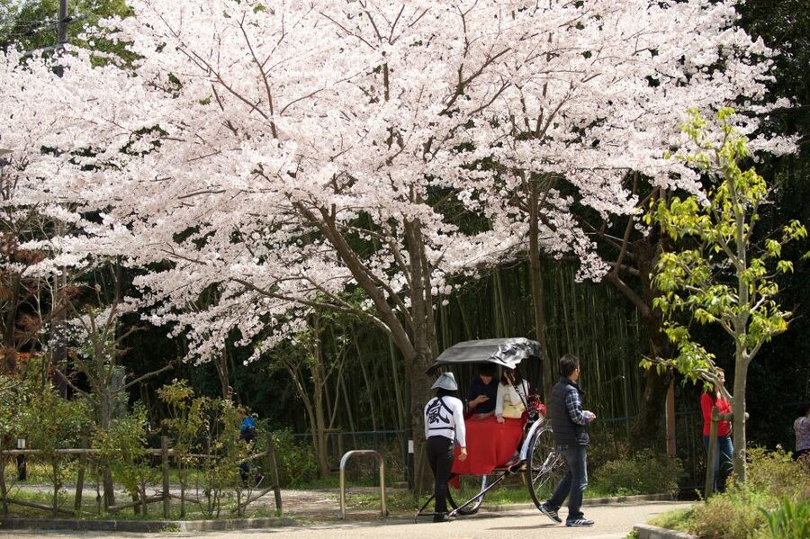 Kyoto: Arashiyama Customized Rickshaw Tour & Bamboo Forest - Why the guide matters so much