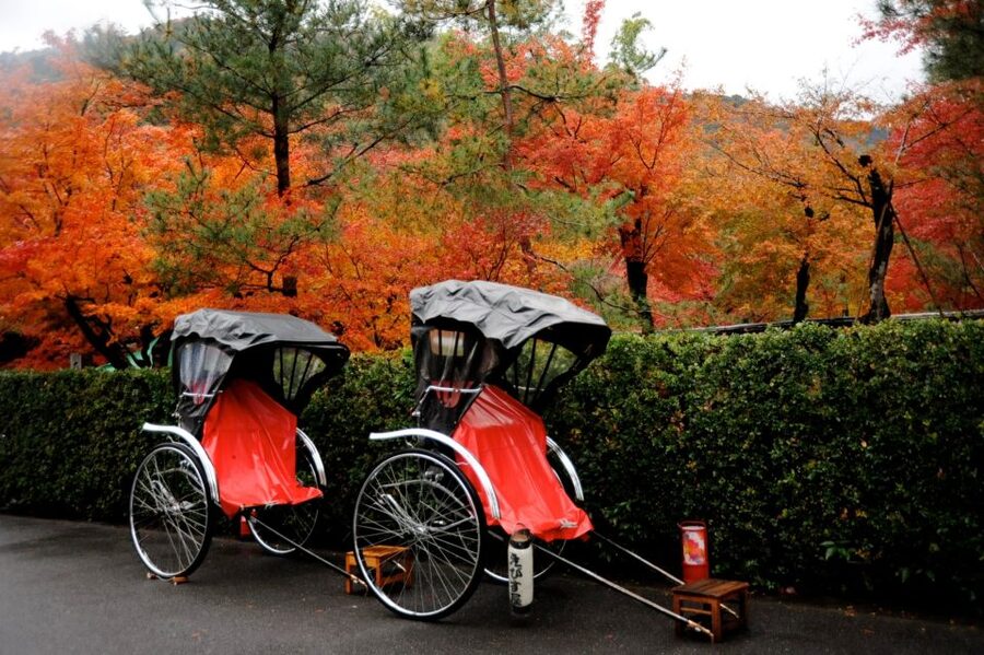 Kyoto: Arashiyama Customized Rickshaw Tour & Bamboo Forest - Choosing the right duration and value at $51