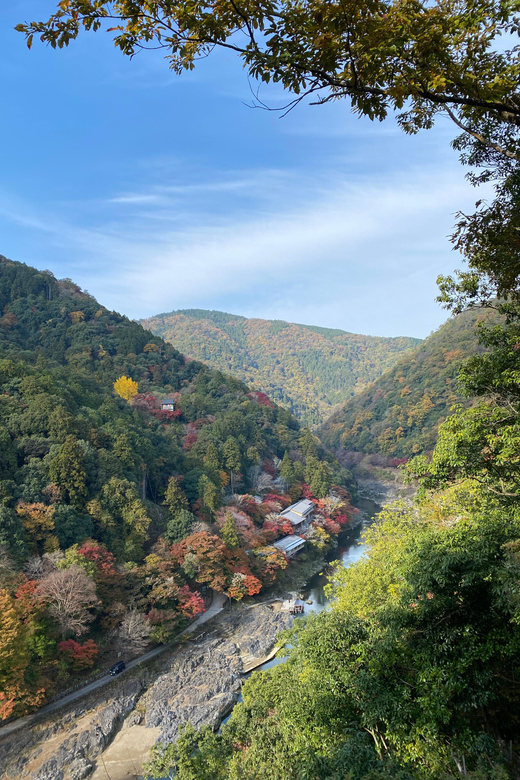 Kyoto: Arashiyama Guided Tour, Bamboo, Monkey, Zen Temple - Why this Arashiyama route works so well