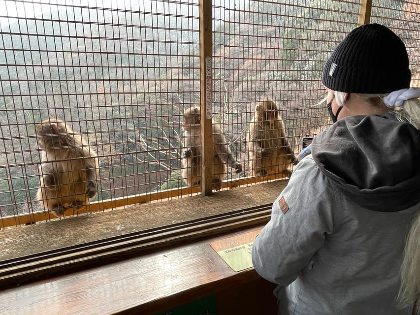 Kyoto: Arashiyama Guided Tour, Bamboo, Monkey, Zen Temple - Tenryu-ji and its gardens: the cultural center of the walk