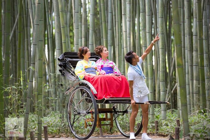 Kyoto Arashiyama Rickshaw Tour with Bamboo Forest - The walk to the famous bamboo grove
