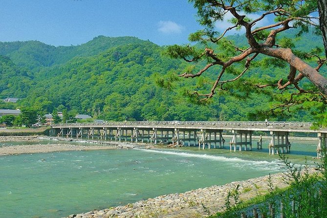 Kyoto Arashiyama & Sagano Bamboo Private Tour with Government-Licensed Guide - Pause at Okochi Sanso Garden