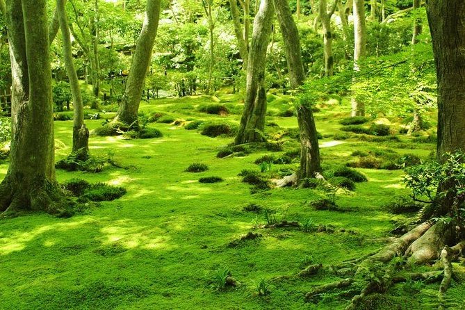 Kyoto Arashiyama & Sagano Bamboo Private Tour with Government-Licensed Guide - Consider the less obvious Kyoto choices