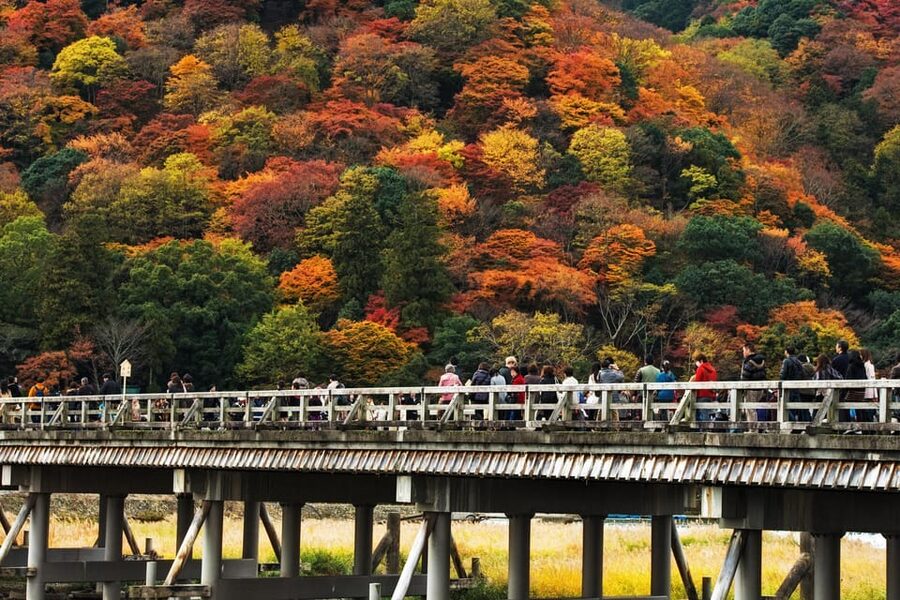 Kyoto: Arashiyama Tour with optional Sagano Romantic Train - Key points at a glance