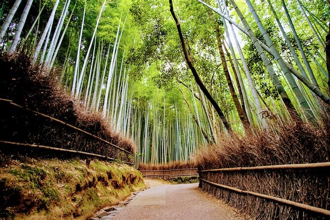 Kyoto Arashiyama Walking Tour: Bamboo, Monkeys, Gardens & Secrets - Tenryuji’s pond garden and temple setting