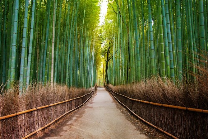Kyoto Arashiyama Walking Tour: Bamboo, Monkeys, Gardens & Secrets - Monkey Park: the payoff and the workout