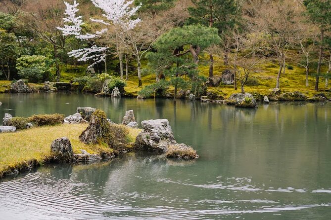 Kyoto Arashiyama Walking Tour: Bamboo, Monkeys, Gardens & Secrets - Who should book this tour