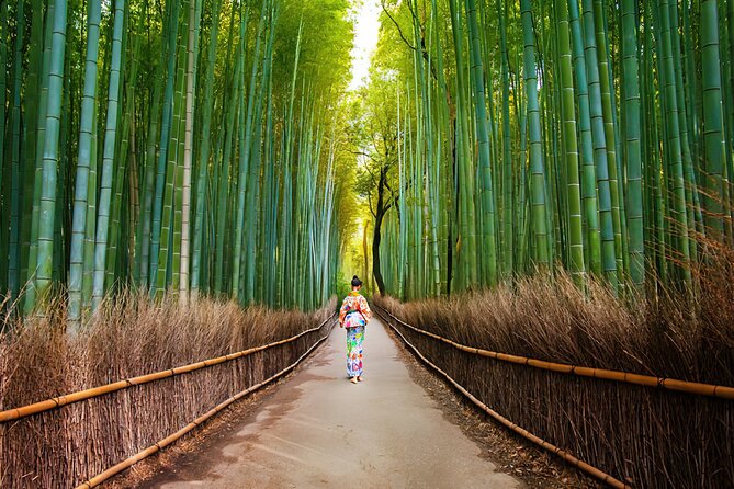 Kyoto Arashiyama Walking Tour: Bamboo, Monkeys, Gardens & Secrets - Nonomiya Shrine and the Bamboo Grove