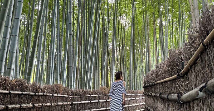 Kyoto: Avoid the Crowds at the Hidden Gems of Arashiyama - Key points to know before booking