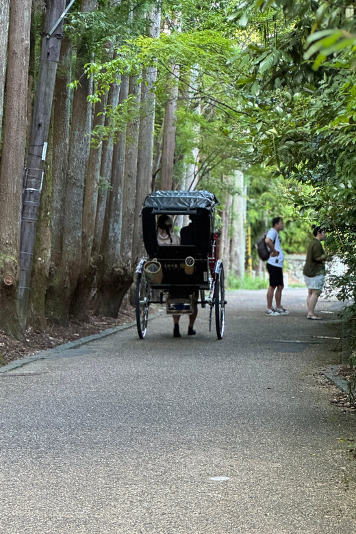 Kyoto: Avoid the Crowds at the Hidden Gems of Arashiyama - Why this Arashiyama walk takes a better route