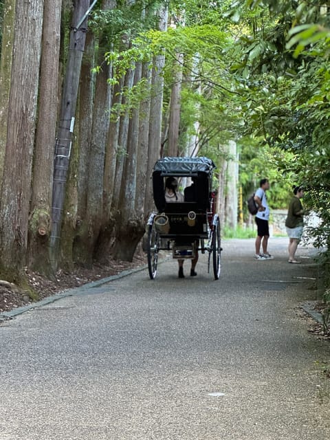 Kyoto: Avoid the Crowds at the Hidden Gems of Arashiyama - Arashiyama Park and the bamboo photo stop