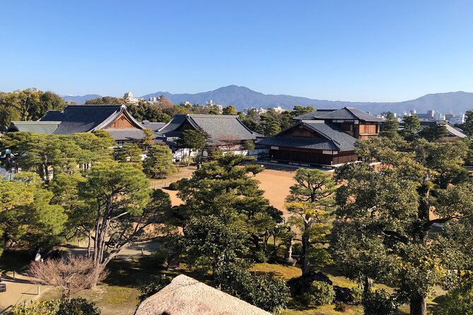 Kyoto Bamboo Forest & Golden Pavilion E-Bike Tour - Arashiyama Bamboo Forest without a bus transfer