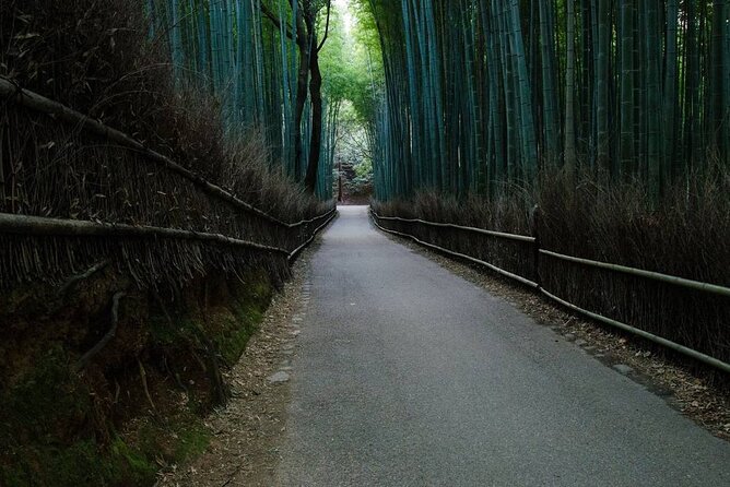 Kyoto Bamboo Forest & Golden Pavilion E-Bike Tour - What the five to six hours feel like