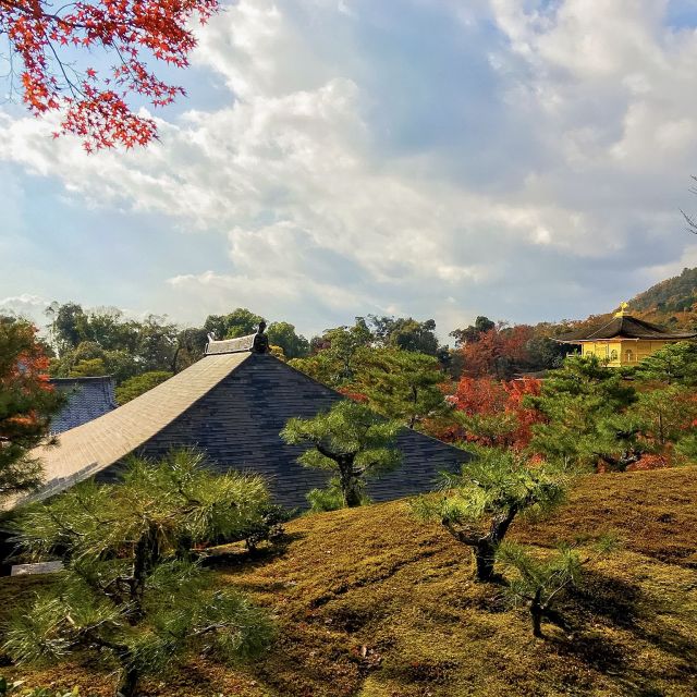 Kyoto: City Secrets eBike Tour - What the guides add to the ride