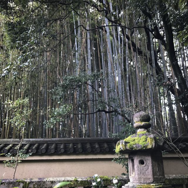 Kyoto: City Secrets eBike Tour - Price and timing: is $127 fair?