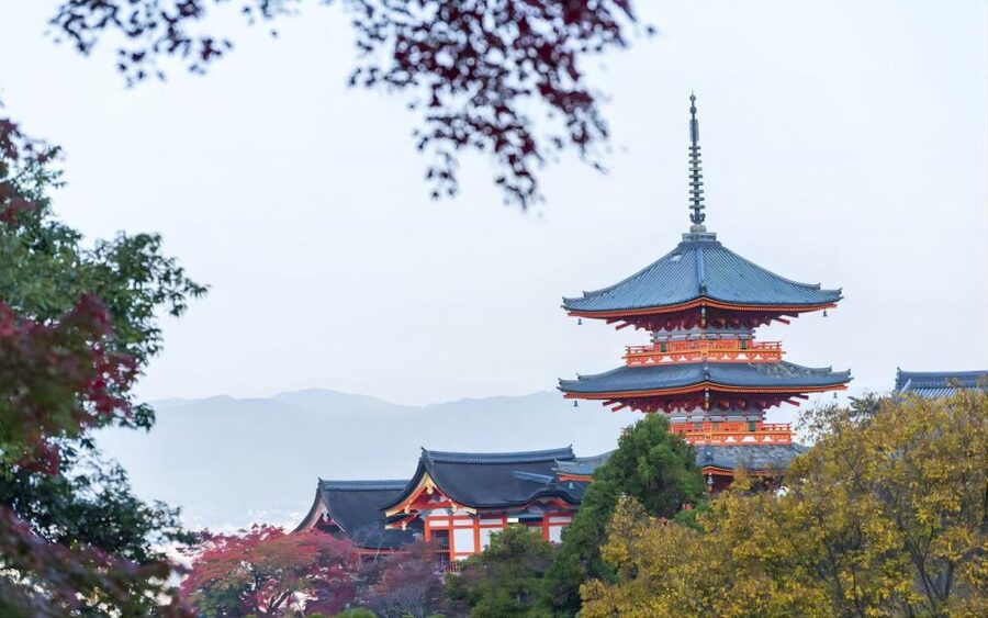 Kyoto: Customizable Full-Day Tour with Privarte Transfers - Key points to know before booking
