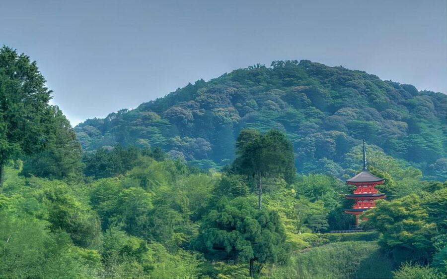Kyoto: Customizable Full-Day Tour with Privarte Transfers - Vehicles, group size, and comfort
