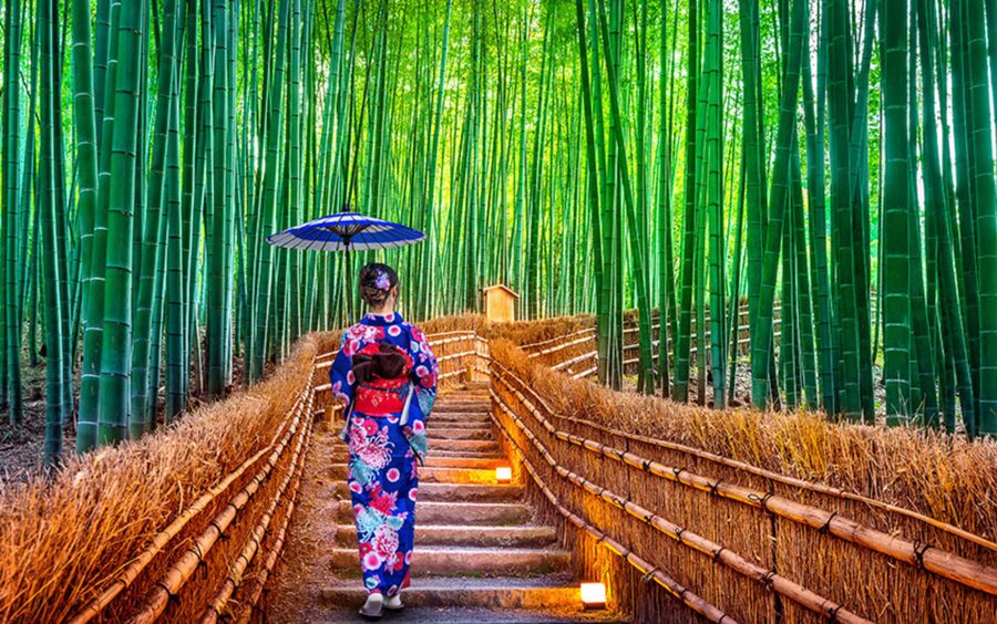 Kyoto Day Tour with Certified Tour Guide & Luxury vehicle - Key points to know before booking