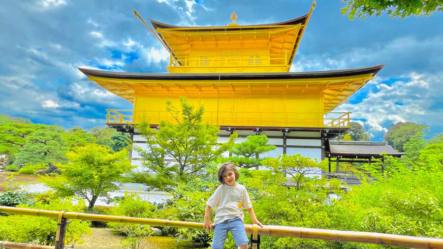 Kyoto Day Tour with Certified Tour Guide & Luxury vehicle - Nishiki Market: finish with food and local shopping