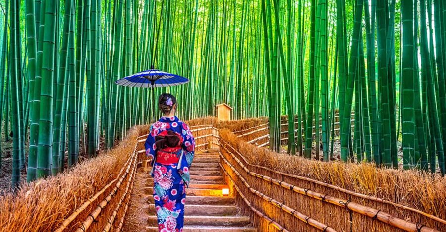 Kyoto Day Tour with Certified Tour Guide & Luxury vehicle - Starting from Osaka, Kyoto, Nara, or Kobe