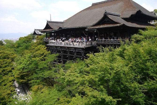 Kyoto Day Trip using Private Car with English Driver (up to 5) - Who should book this Kyoto day trip
