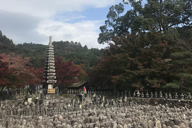 Kyoto: Descending Arashiyama (Private) - Tea and sweets at Ayuchaya Hiranoya