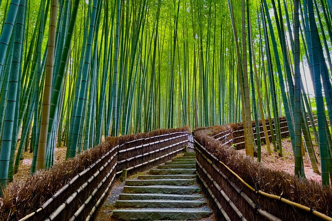 Kyoto Early Bird English Tour: Fushimi-Inari and Arashiyama - Togetsukyo Bridge and the final view