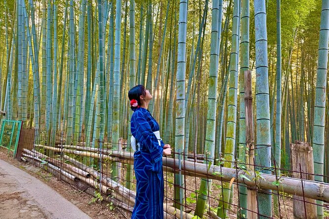 Kyoto Early Bird English Tour: Fushimi Inari & Gion(Private opt) - Gion Without Treating It Like a Theme Park