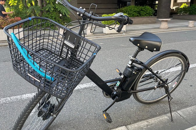 Kyoto Early Morning E Biking Tour Fushimi Inari Kiyomizu Temple - Who should book this Kyoto morning ride?