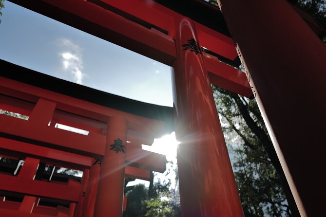 Kyoto Early Morning Tour with English-Speaking Guide - How demanding is the morning?