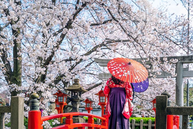 Kyoto Full Day (8 hours) Ultimate Sightseeing Private Tour - Fushimi Inari’s red torii gates