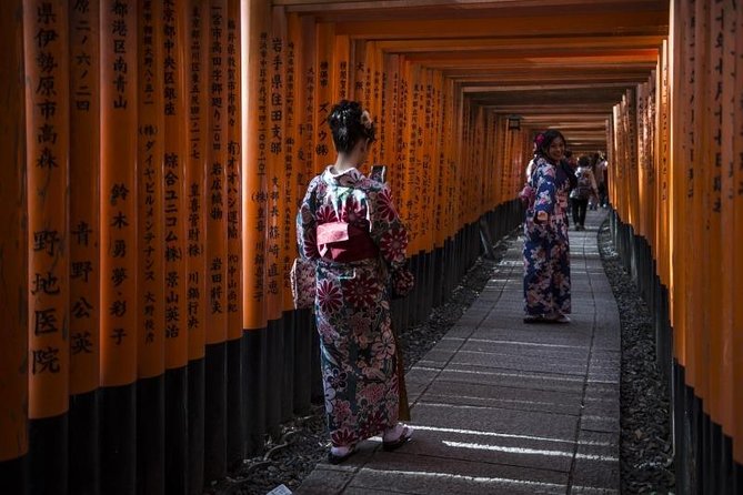 Kyoto Full Day (8 hours) Ultimate Sightseeing Private Tour - The guide can make or break the day