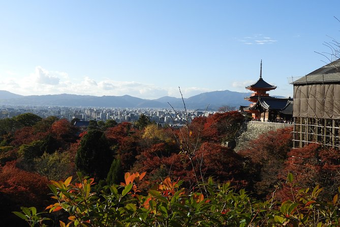 Kyoto Full Day (8 hours) Ultimate Sightseeing Private Tour - Who should book this Kyoto tour?