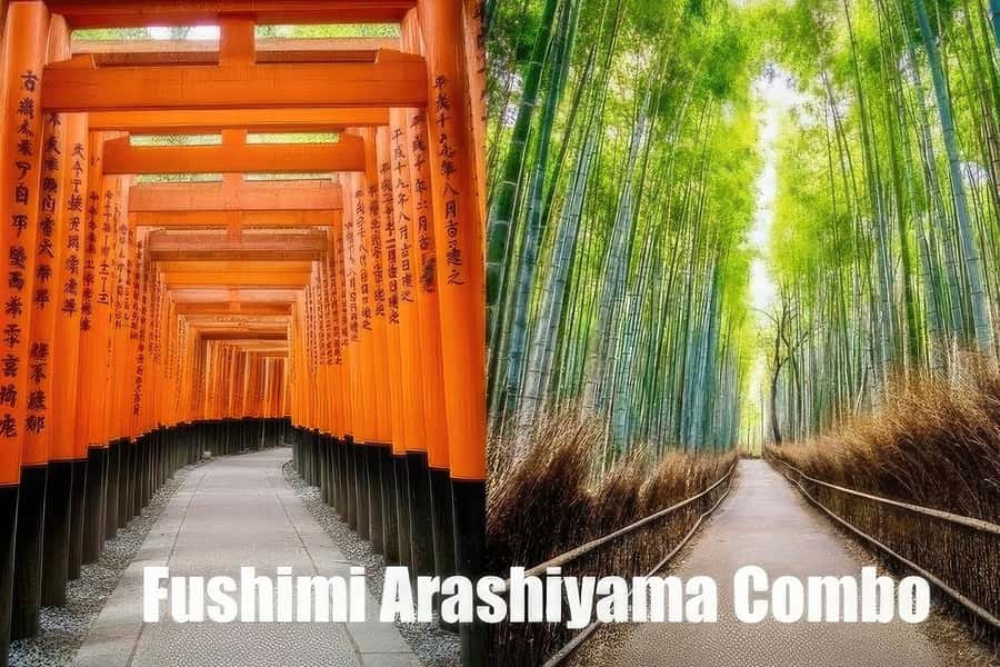 Kyoto: Fushimi, Arashiyama - Bamboo, Monkey, Torii & Secrets - Key points at a glance