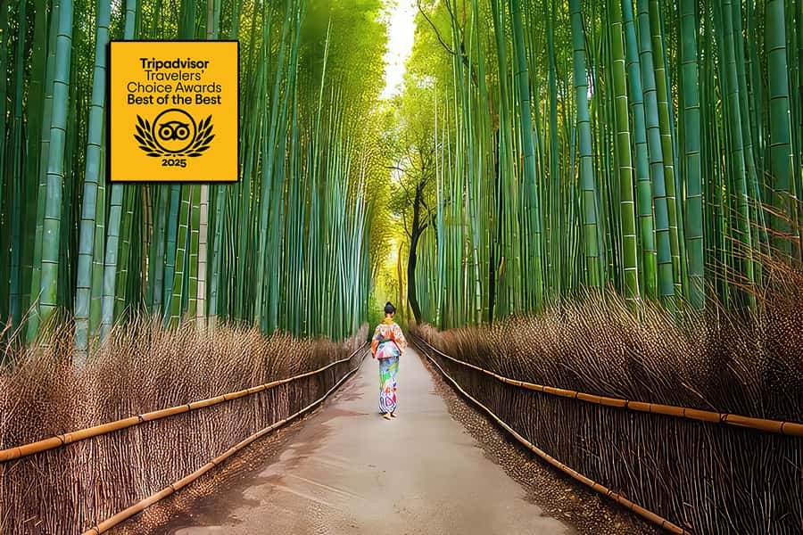 Kyoto: Fushimi, Arashiyama - Bamboo, Monkey, Torii & Secrets - Finding the quieter side of Arashiyama