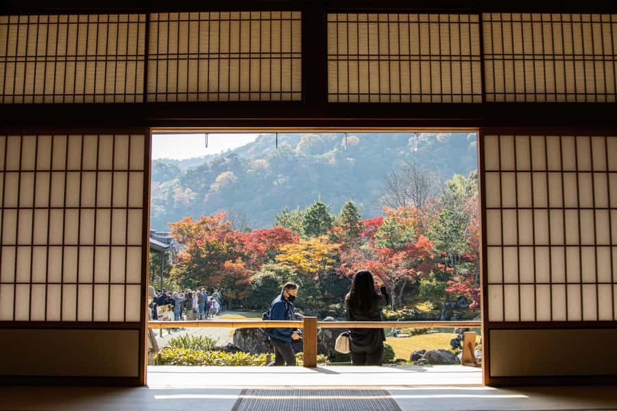 Kyoto: Fushimi, Arashiyama - Bamboo, Monkey, Torii & Secrets - Climbing to Monkey Park