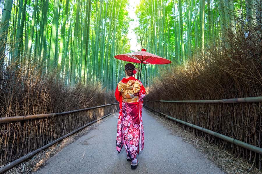 Kyoto: Fushimi, Arashiyama - Bamboo, Monkey, Torii & Secrets - Food, breaks, and the real cost