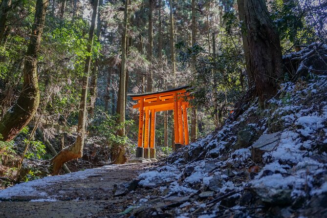 Kyoto: Fushimi Inari Hidden Hike (Private) - Key points to know before you book