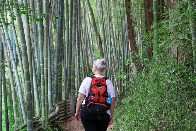 Kyoto: Fushimi Inari Hidden Hike (Private) - Reaching the Senbon Torii Gates