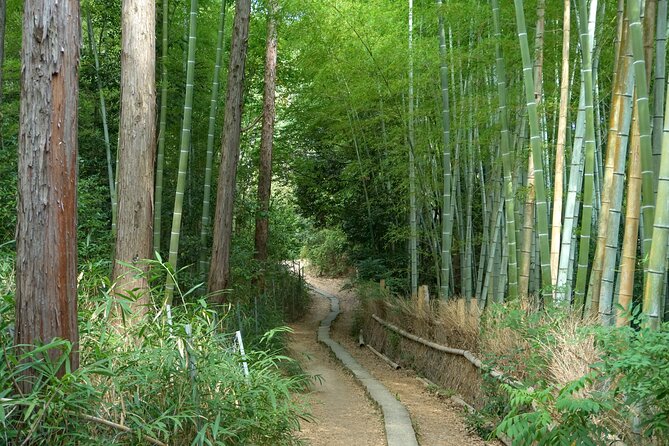 Kyoto: Fushimi Inari Hidden Hike (Private) - The view toward Fushimi Momoyama Castle