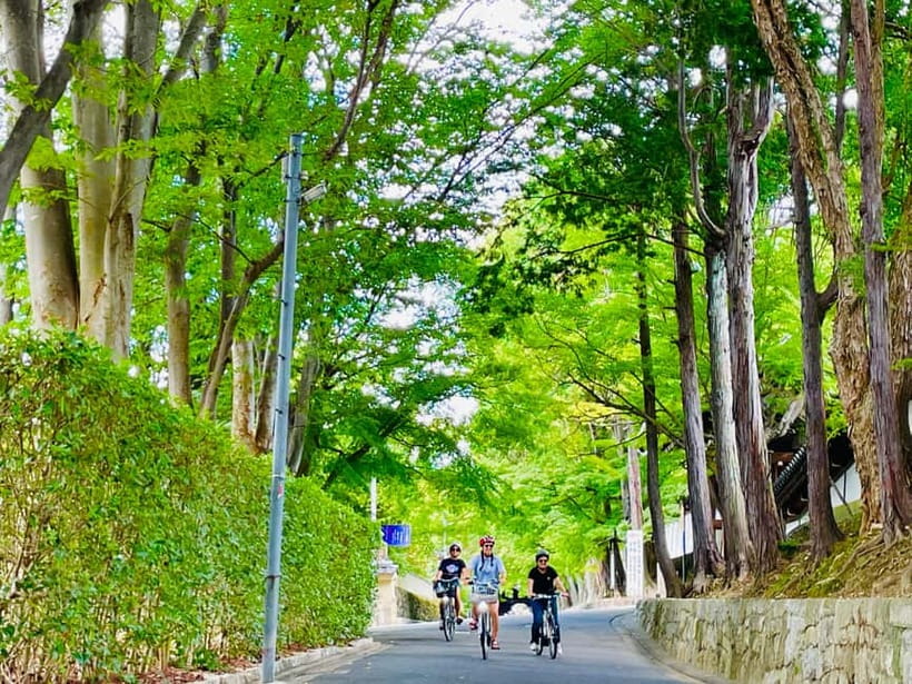 Kyoto: Fushimi Inari Shrine and Tofukuji Temple E-Bike Tour - Key points before you book