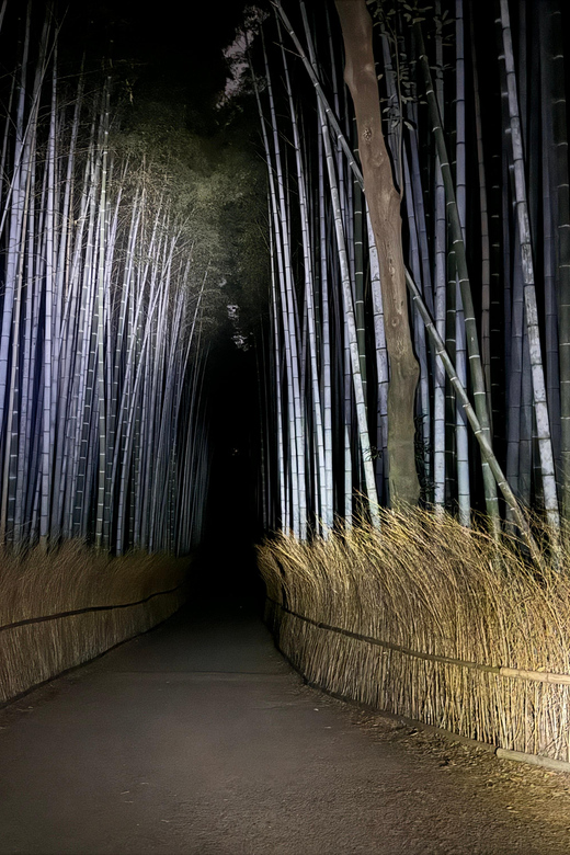 Kyoto: Ghost Tour - Legends, Dark Tales, Bamboo Forest Night - Key points to know before booking