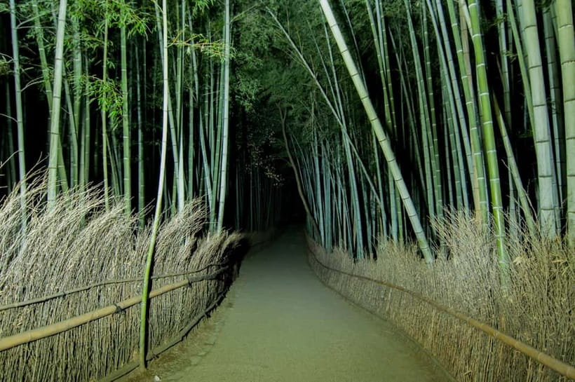 Kyoto: Ghost Tour - Legends, Dark Tales, Bamboo Forest Night - Nonomiya Shrine adds a quieter note