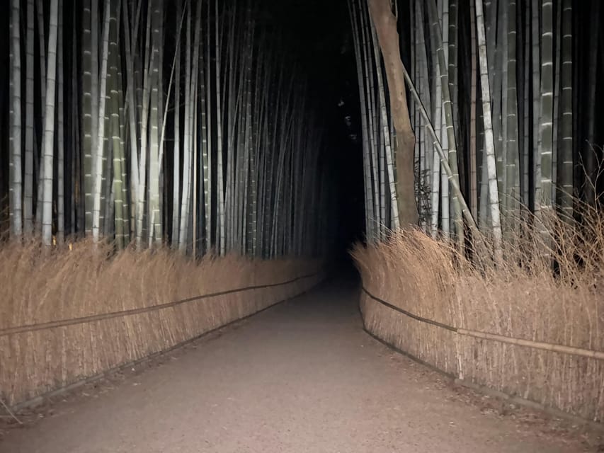 Kyoto: Ghost Tour - Legends, Dark Tales, Bamboo Forest Night - Who will enjoy this and who should skip it