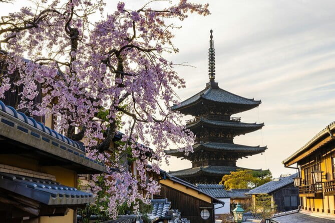 Kyoto Gion Early Morning Walking Tour - Why the early start matters in Gion