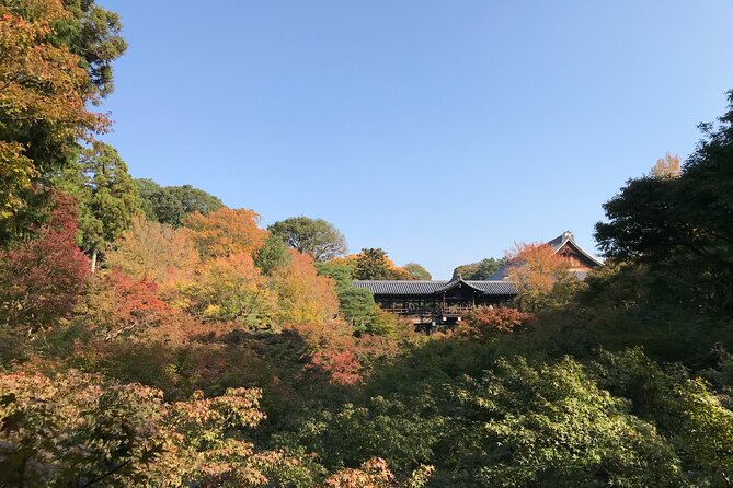 Kyoto Guided Walking Tour: Secret Zen Garden and Fushimi Inari - Why this Kyoto walk works so well