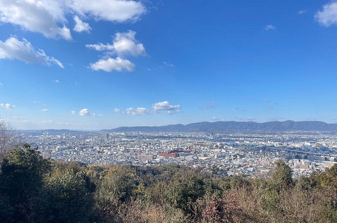 Kyoto Guided Walking Tour: Secret Zen Garden and Fushimi Inari - Walking through Senbon Torii