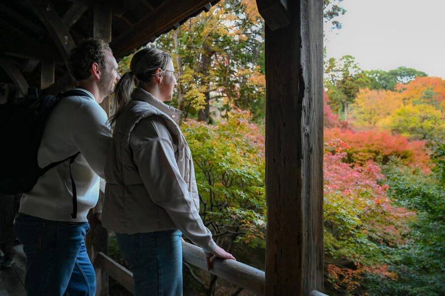 Kyoto: Half-day Guided Bike Tour with Fushimi Inari - Why this South Kyoto bike route works