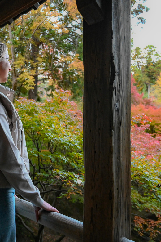 Kyoto: Half-day Guided Bike Tour with Fushimi Inari - Is $77 a fair price?