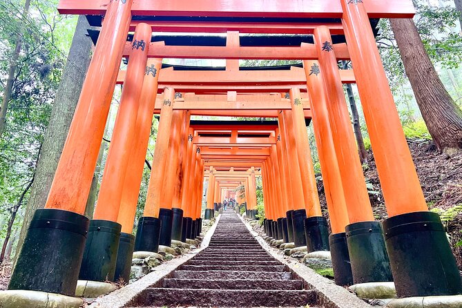 Kyoto Half Day Highlights Tour - How demanding is the walk?